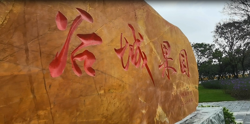 谷城礦業(yè)直播：走進(jìn)“谷城果園”！