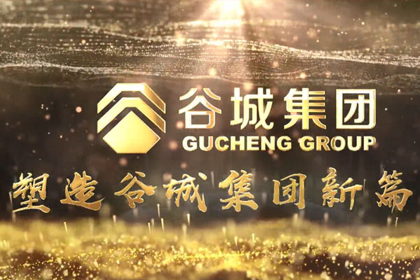 共筑新時(shí)代，不負韶華夢(mèng)——谷城集團隆重舉行2019年度榮譽(yù)表彰大會(huì )暨2020年迎春年會(huì )